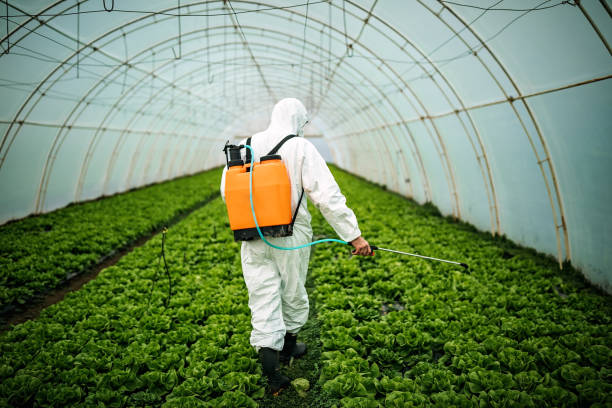 Best Residential Pest Control  in Roseau, MN