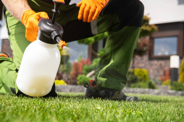 Best Cockroach Control Services  in Roseau, MN