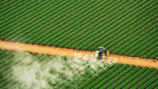 Professional Pest Control in Roseau, MN